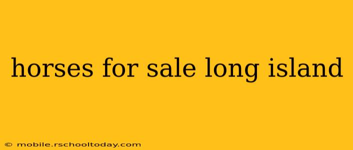 horses for sale long island