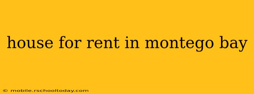 house for rent in montego bay