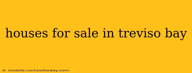 houses for sale in treviso bay