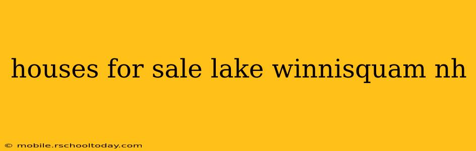 houses for sale lake winnisquam nh
