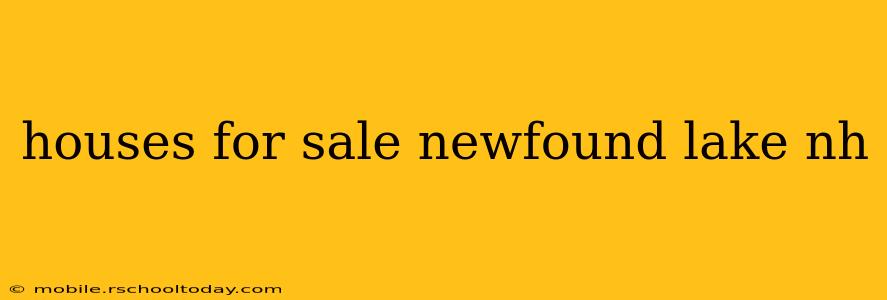 houses for sale newfound lake nh