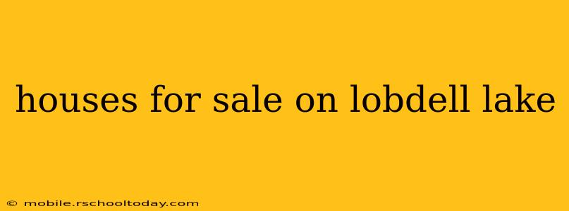 houses for sale on lobdell lake