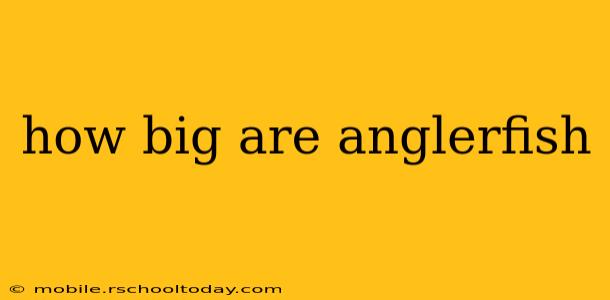 how big are anglerfish