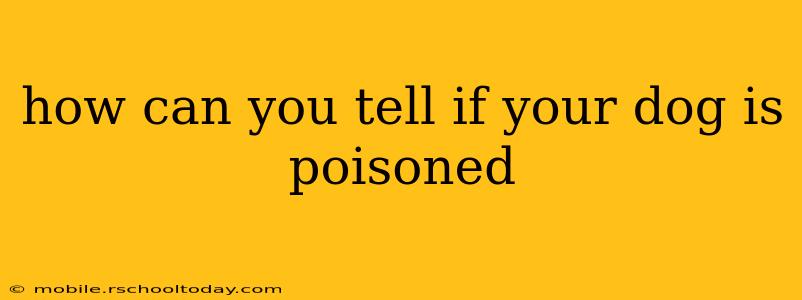 how can you tell if your dog is poisoned