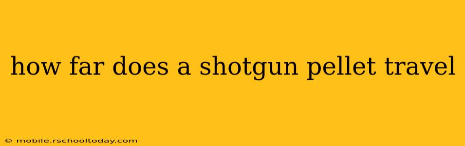 how far does a shotgun pellet travel