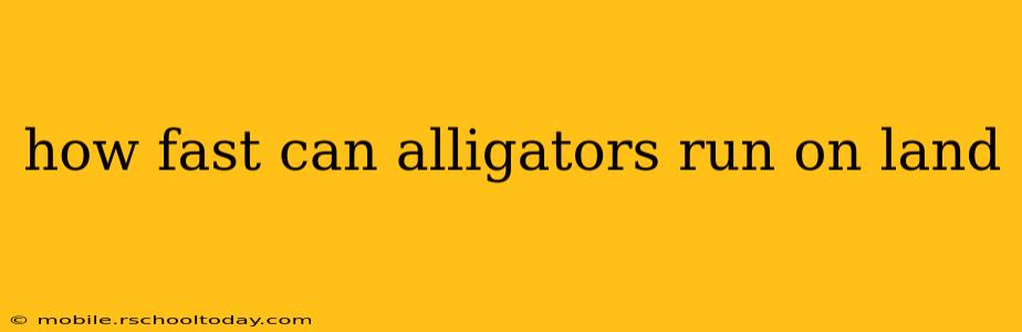 how fast can alligators run on land