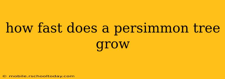 how fast does a persimmon tree grow
