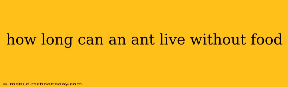 how long can an ant live without food