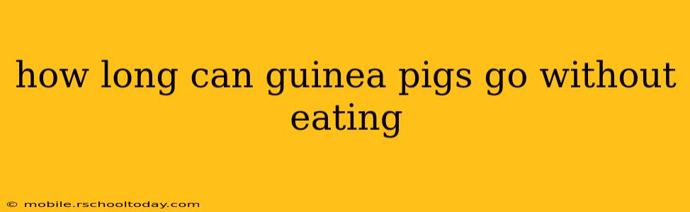 how long can guinea pigs go without eating