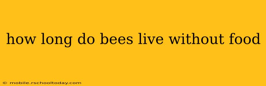 how long do bees live without food