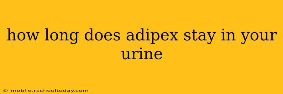 how long does adipex stay in your urine