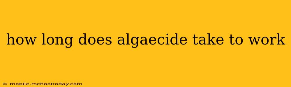 how long does algaecide take to work