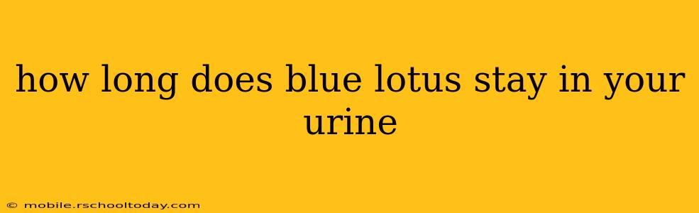 how long does blue lotus stay in your urine