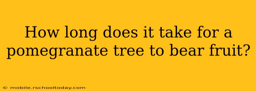How long does it take for a pomegranate tree to bear fruit?