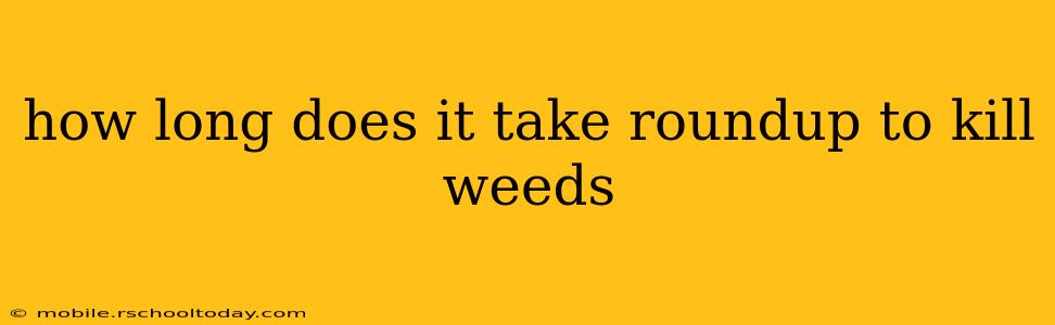 how long does it take roundup to kill weeds