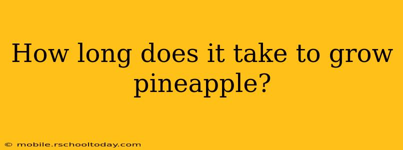 How long does it take to grow pineapple?