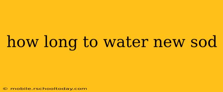how long to water new sod