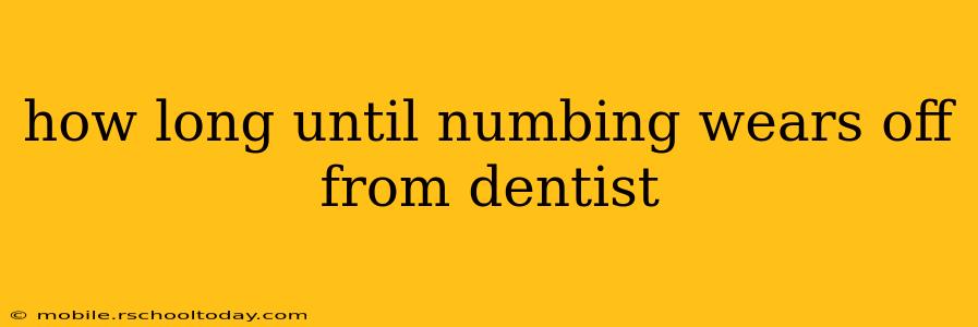 how long until numbing wears off from dentist