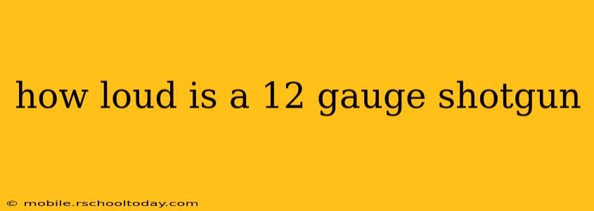 how loud is a 12 gauge shotgun