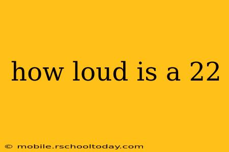 how loud is a 22