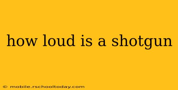 how loud is a shotgun