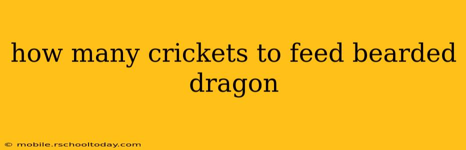 how many crickets to feed bearded dragon