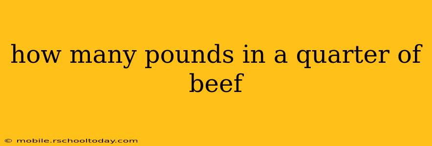 how many pounds in a quarter of beef