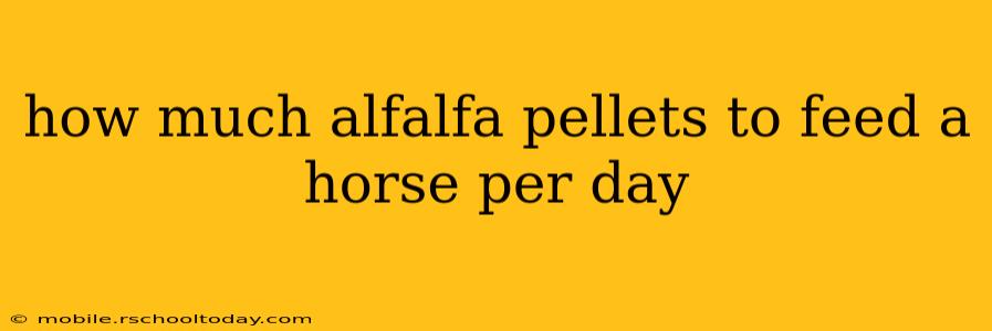 how much alfalfa pellets to feed a horse per day