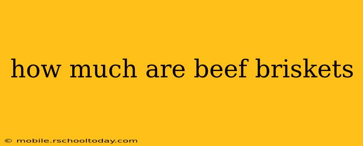 how much are beef briskets
