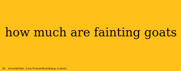 how much are fainting goats