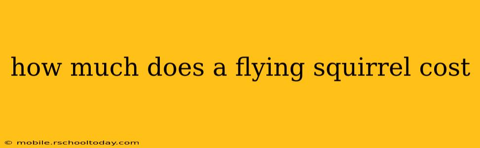 how much does a flying squirrel cost