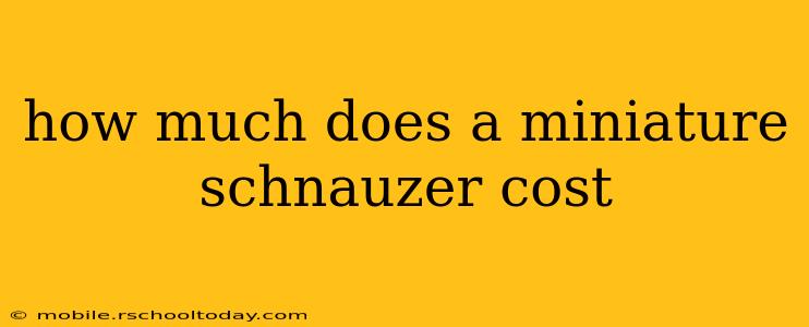 how much does a miniature schnauzer cost