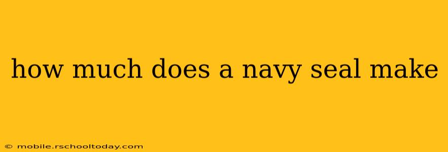 how much does a navy seal make