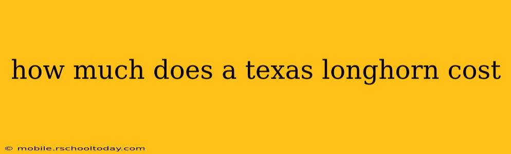how much does a texas longhorn cost