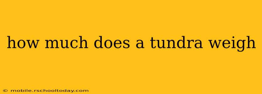 how much does a tundra weigh