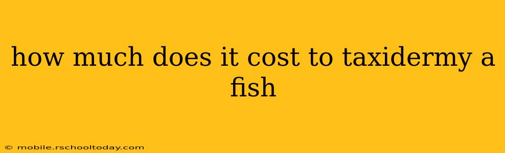 how much does it cost to taxidermy a fish