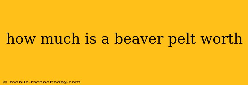 how much is a beaver pelt worth