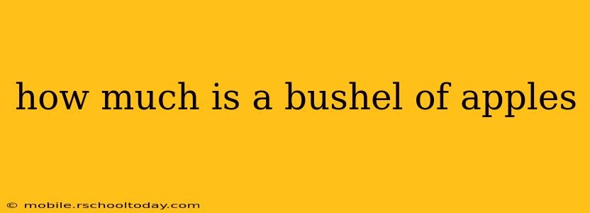 how much is a bushel of apples