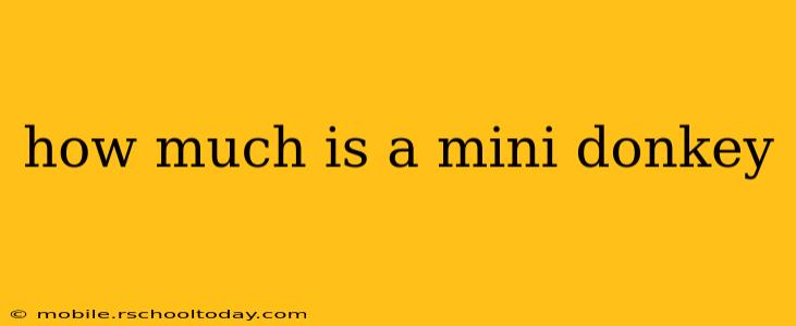how much is a mini donkey