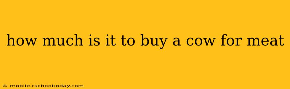how much is it to buy a cow for meat