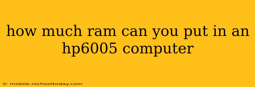 how much ram can you put in an hp6005 computer