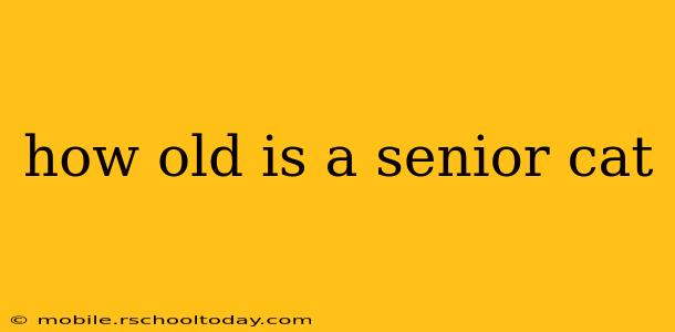 how old is a senior cat