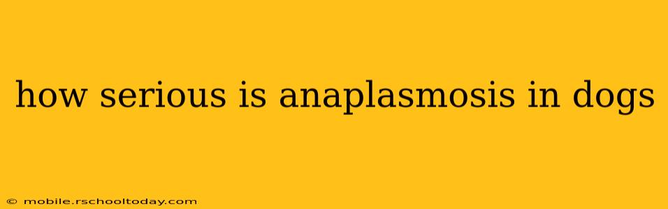 how serious is anaplasmosis in dogs