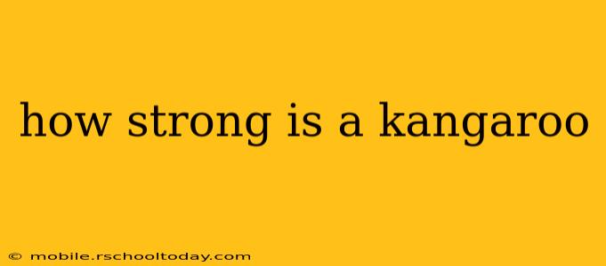 how strong is a kangaroo