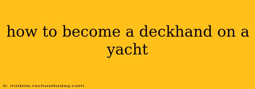 how to become a deckhand on a yacht