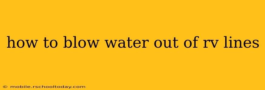 how to blow water out of rv lines