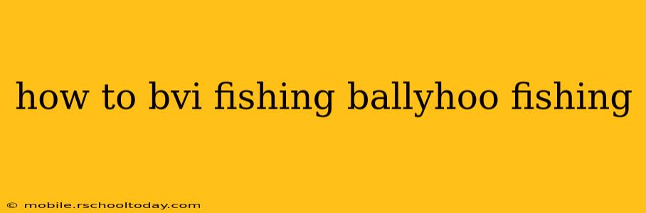 how to bvi fishing ballyhoo fishing