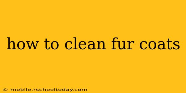how to clean fur coats