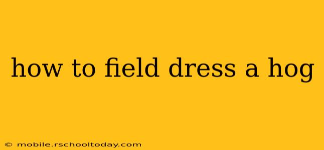 how to field dress a hog