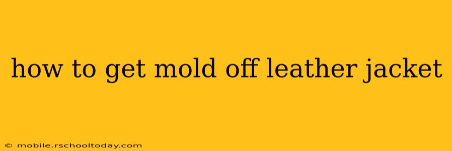how to get mold off leather jacket
